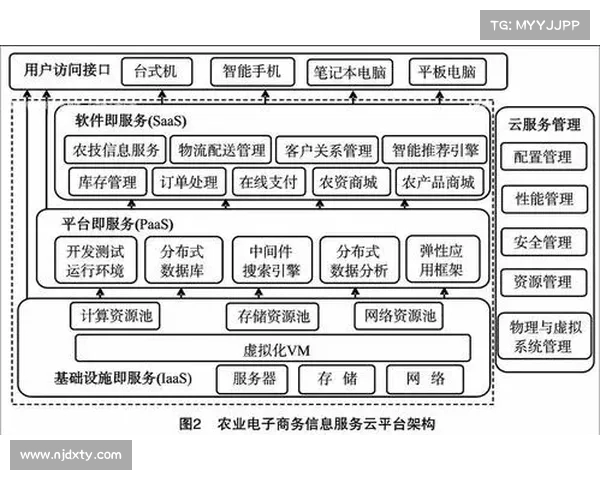 网球比赛规则的演变与创新分析：从传统到现代化的变化路径